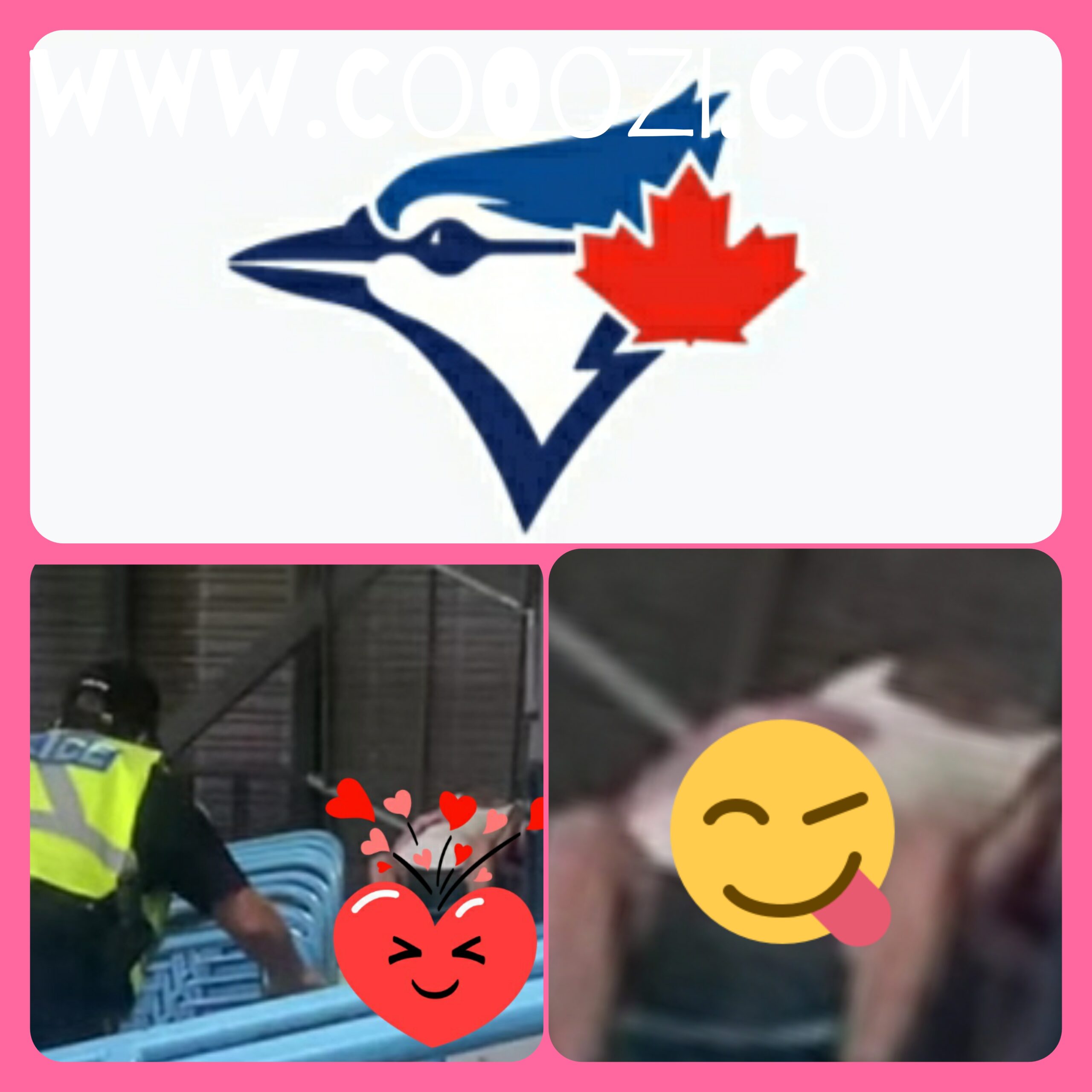 Blue Jay’s fans video